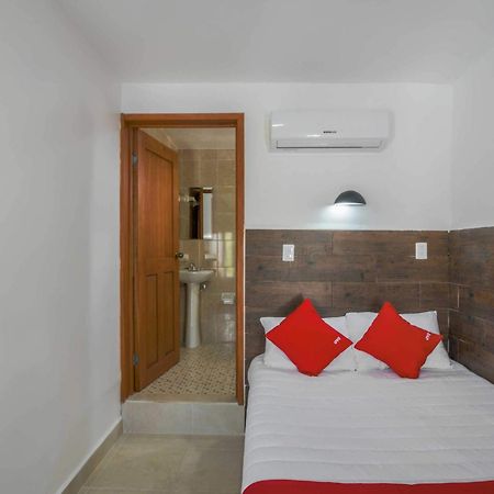 Oyo Hotel Palma Real 图卢姆 外观 照片